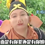 搞笑西游记恶搞配音,恶搞西游记配音趣味盘点