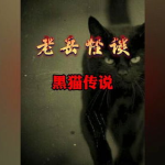 奇闻控天下奇闻异事,揭秘世间奇闻异事背后的神秘面纱