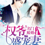 名门暖婚权爷盛宠妻全文免费阅读,权爷盛宠妻全文免费阅读，豪门宠文甜蜜来袭！