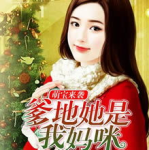 娱乐明星小说2017,2017娱乐明星风云录